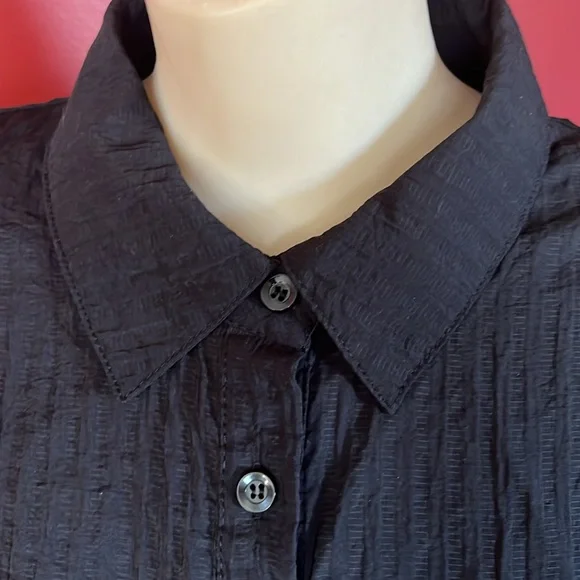 BNWOT WoWo black button down long sleeve top - Picture 4 of 13